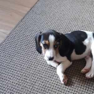 Meet your Posher, Jim